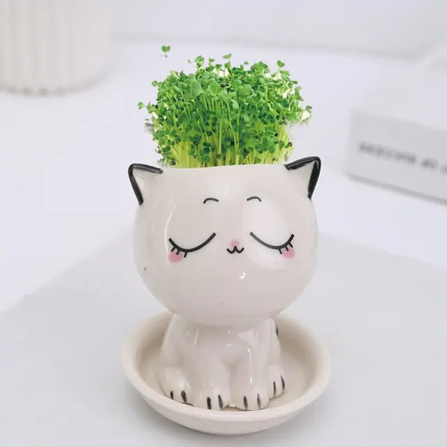 Mini Cat Flowerpot - D