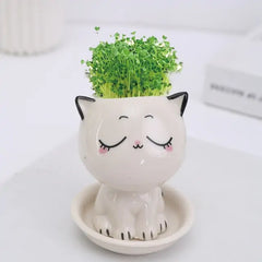 Mini Cat Flowerpot - D