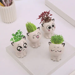 Mini Cat Flowerpot