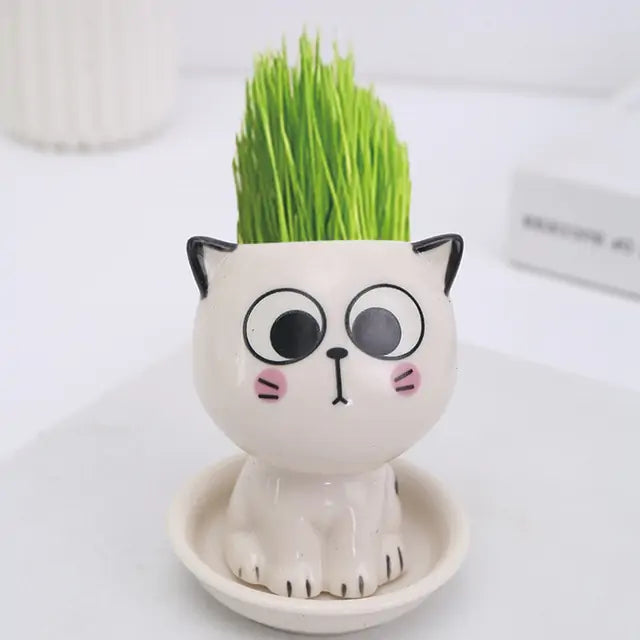 Mini Cat Flowerpot - B