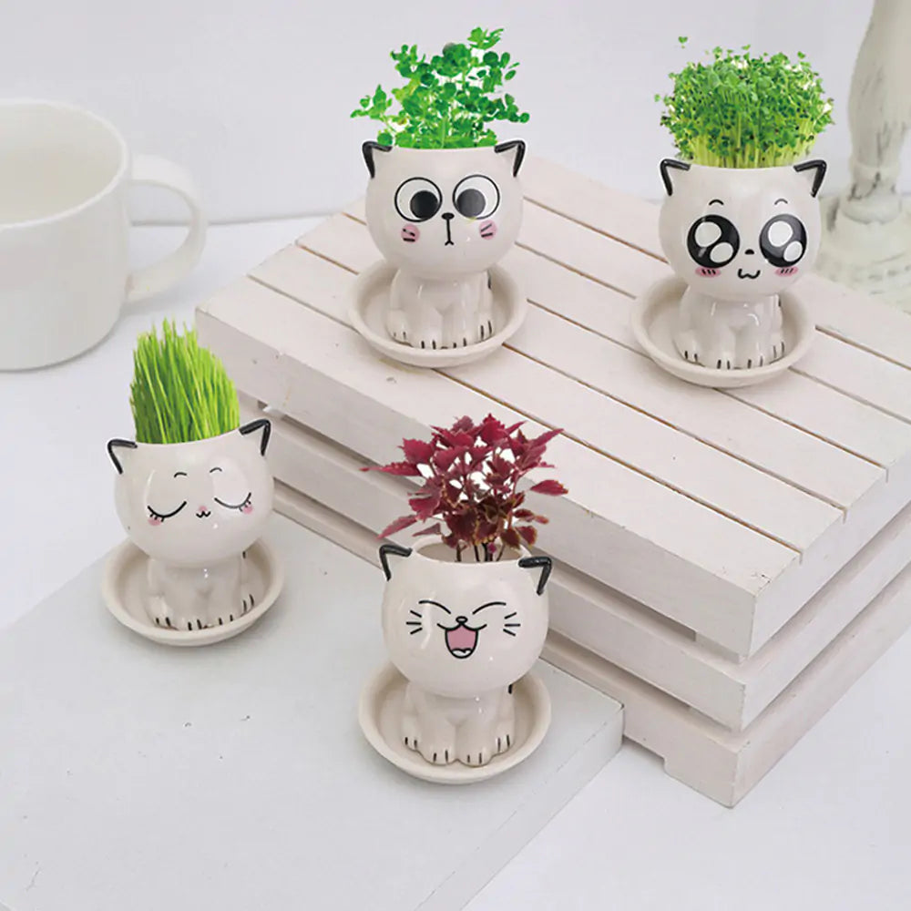 Mini Cat Flowerpot