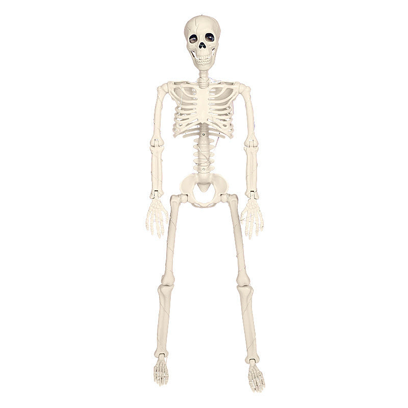 Halloween Luminous Skeleton