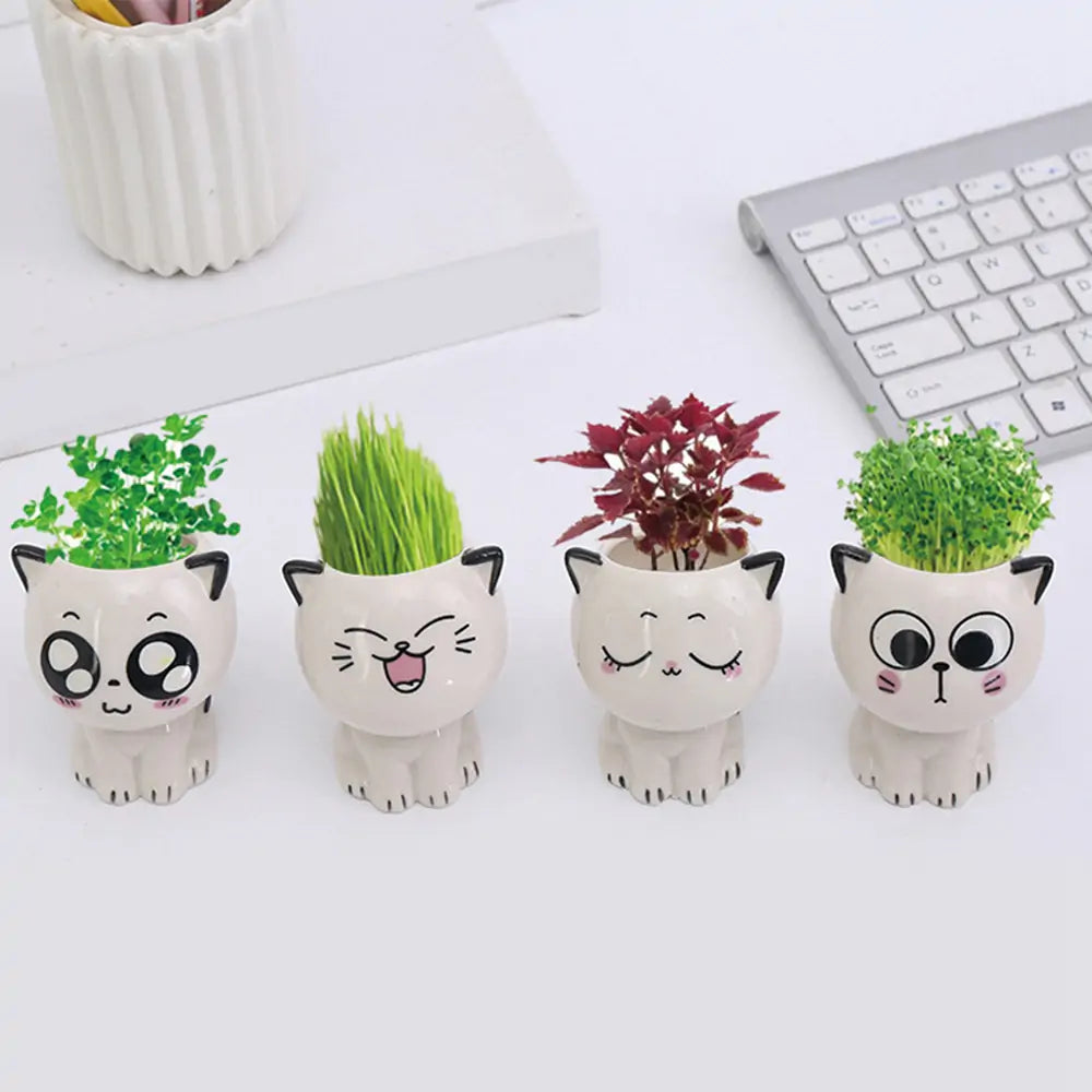 Mini Cat Flowerpot