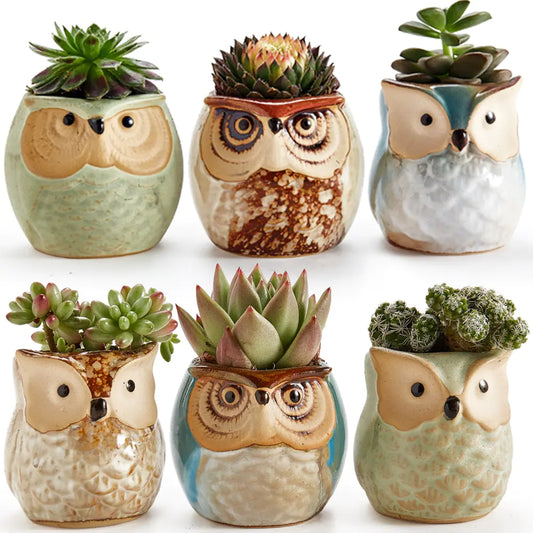 Owl Pot Ceramic Base