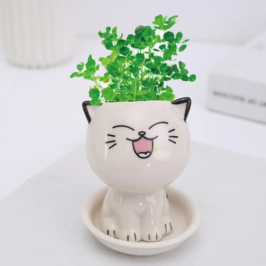 Mini Cat Flowerpot - C