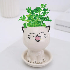 Mini Cat Flowerpot - C