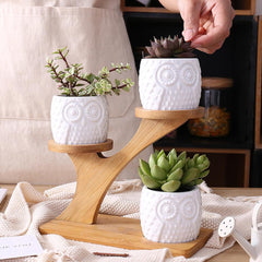 Decorative Flower Pots & Shelf